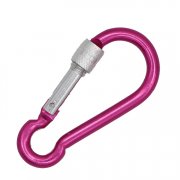 Carabiner With Safety Nut And Screw